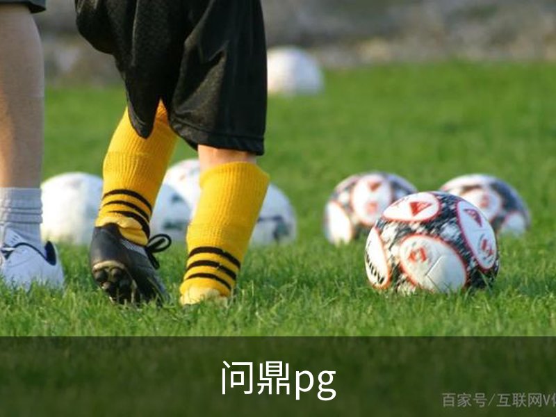 了解问鼎pg